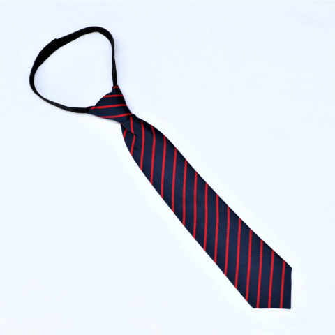 carman-school-tie